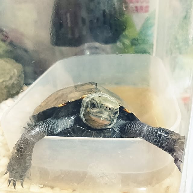 n-famさんの実例写真