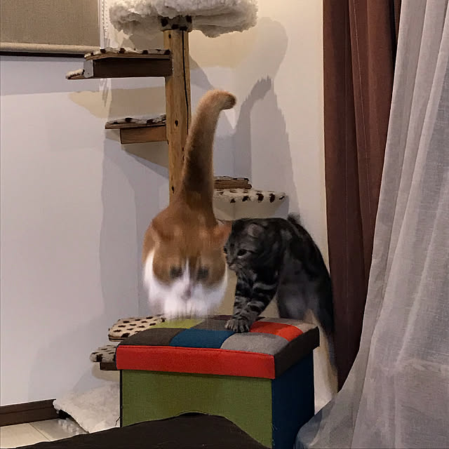 KotarouKunさんの実例写真