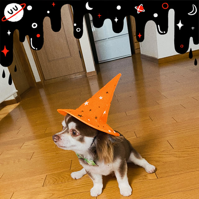 chIoeさんの実例写真