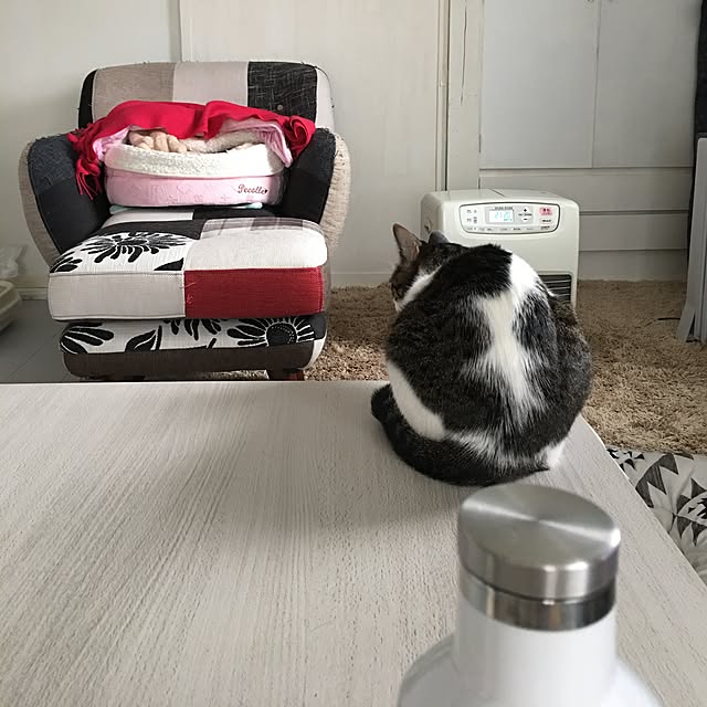 Shihoさんの実例写真