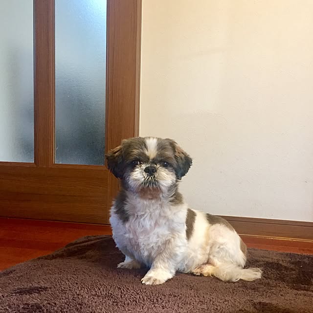 butachanさんの実例写真