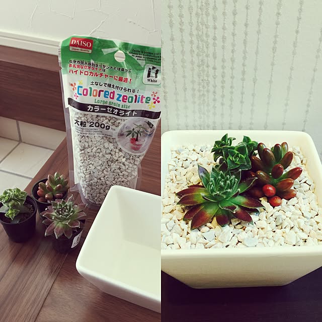ricoさんの実例写真
