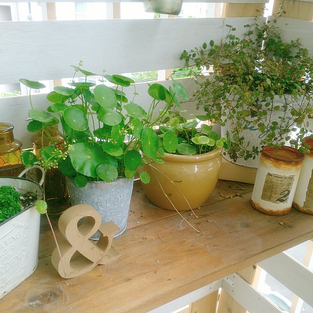 miporin0711さんの実例写真