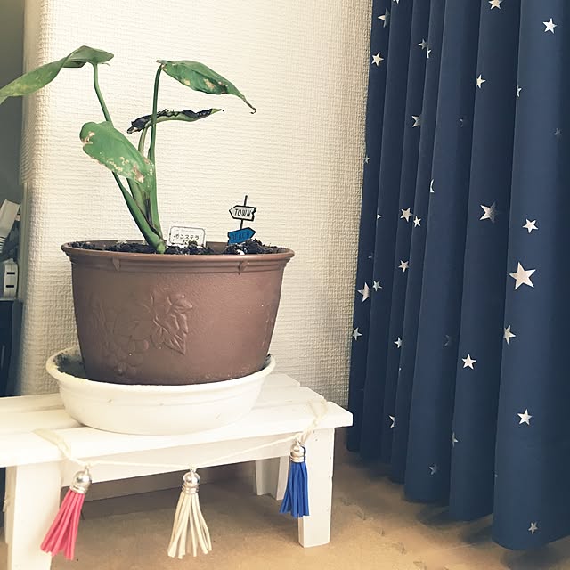 Kumipohさんの実例写真