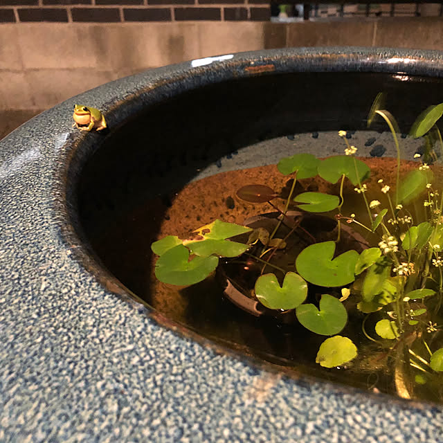 mutsuさんの実例写真
