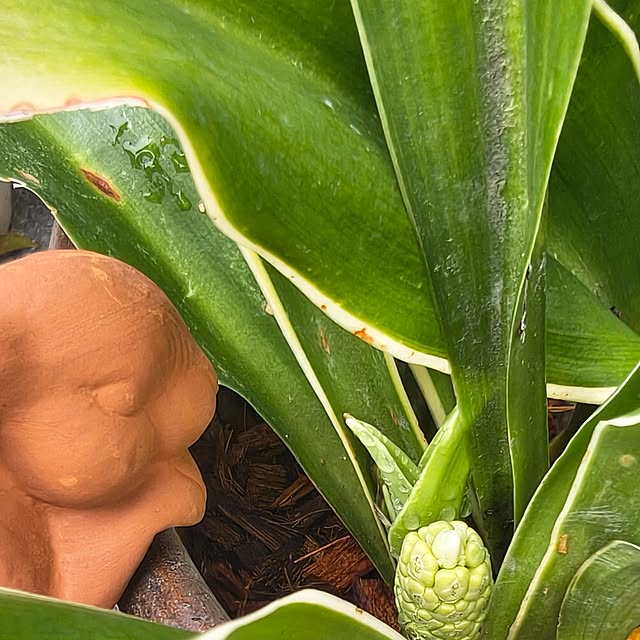 Rubiconさんの実例写真