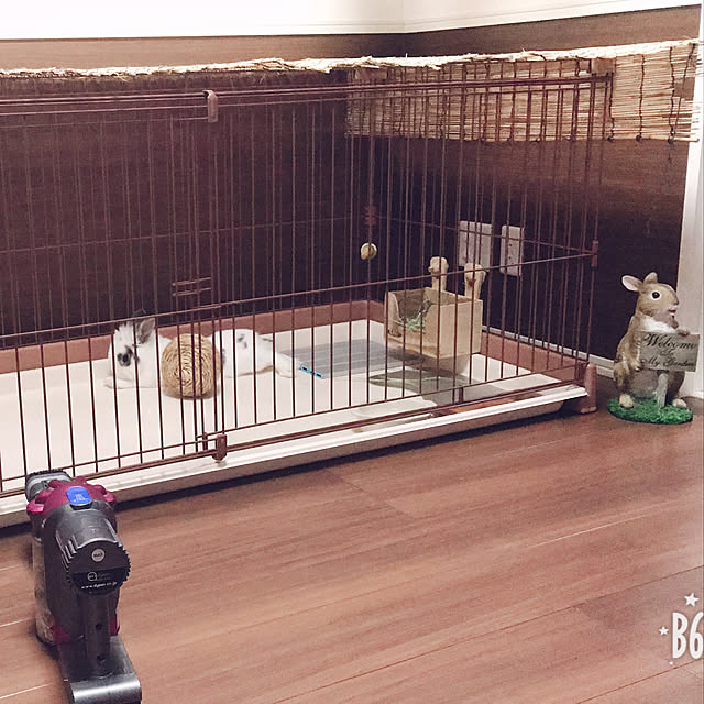 naaa.sakaiさんの実例写真