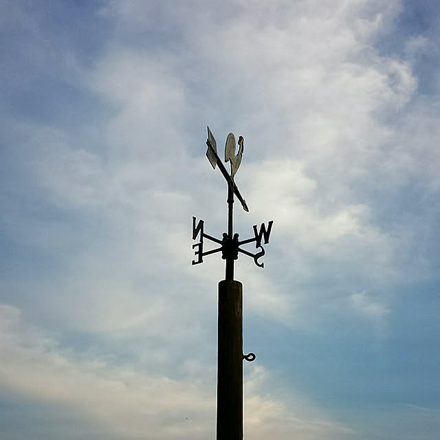 hanaさんの実例写真
