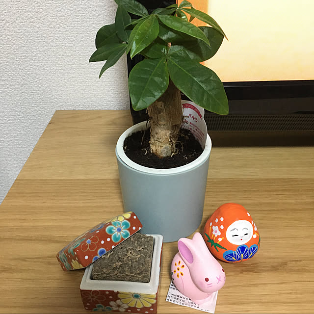 miccoさんの実例写真