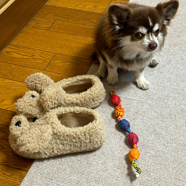 chIoeさんの部屋