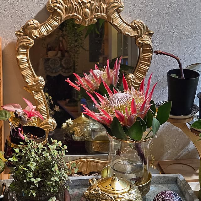 nonbiri_house_さんの実例写真