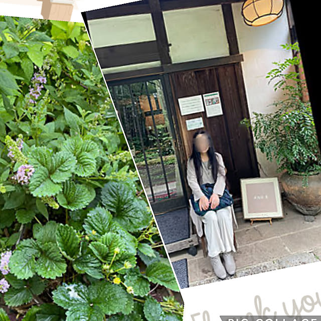 mamizaさんの実例写真