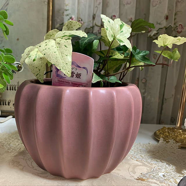 AYUKOさんの実例写真