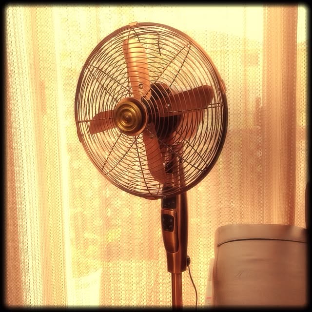 shinさんの実例写真