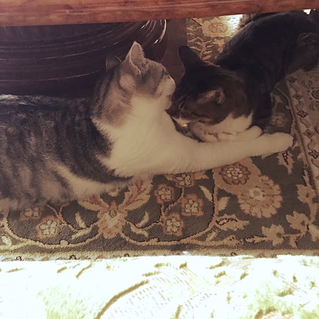 emmyyさんの実例写真