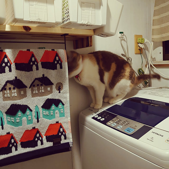 fukuさんの実例写真