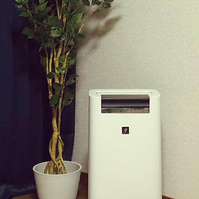 n_k6369さんの実例写真