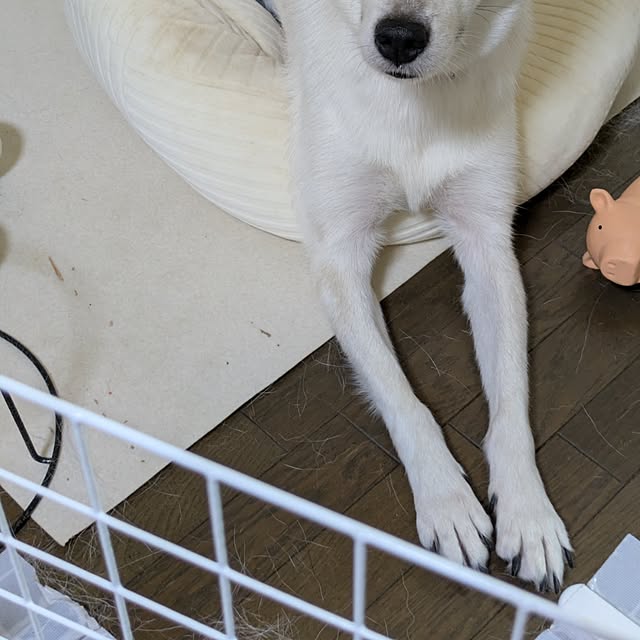 asaさんの部屋