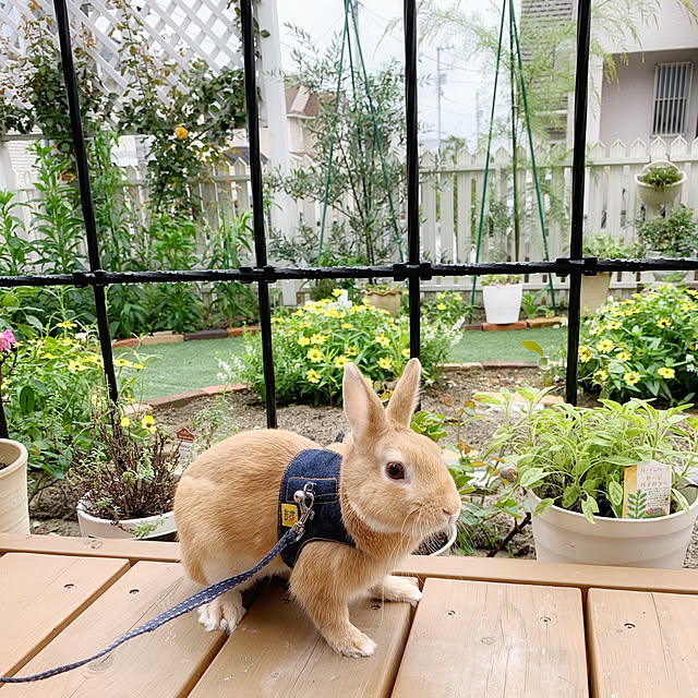 Michiさんの実例写真