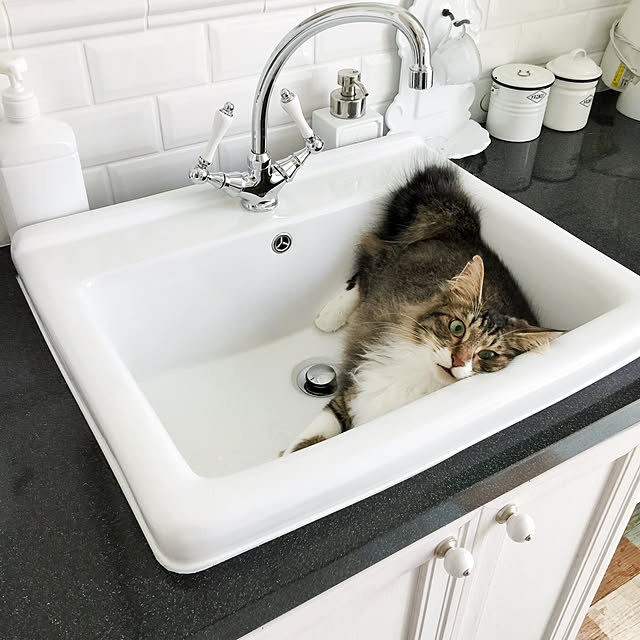 yuchiさんの実例写真