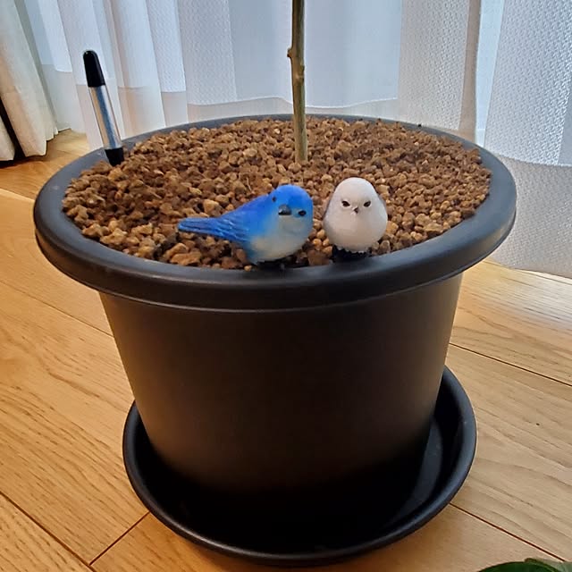 tokkiさんの部屋