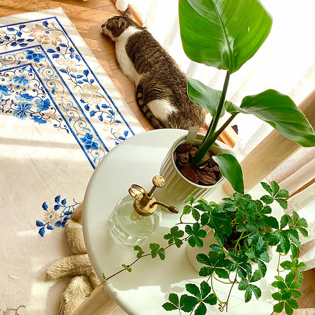 haruminさんの実例写真