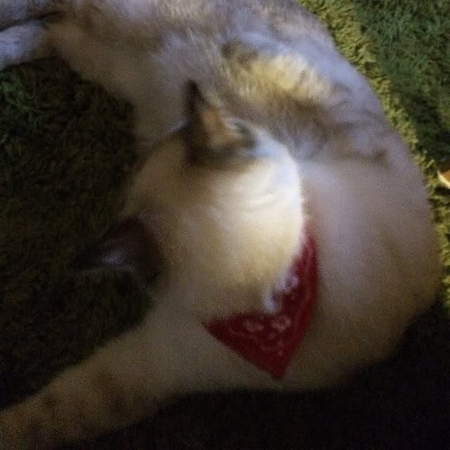 nachuさんの実例写真