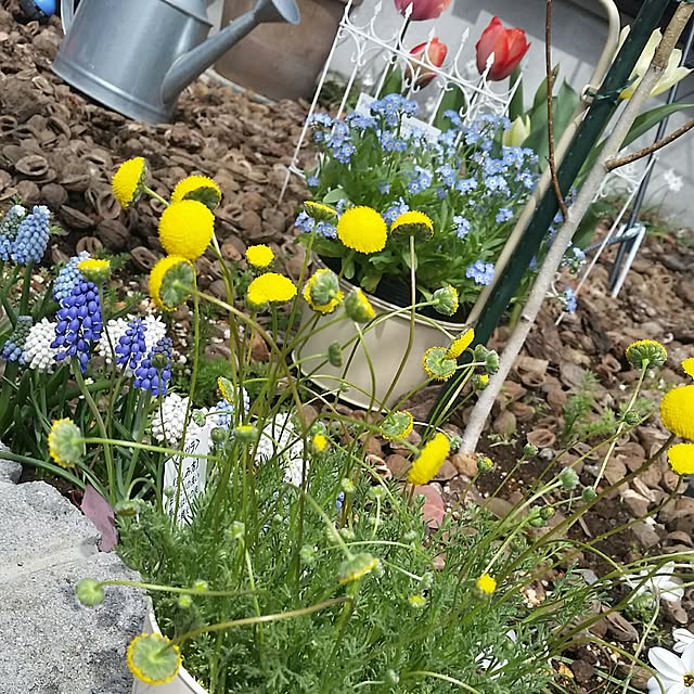 nia1213さんの実例写真