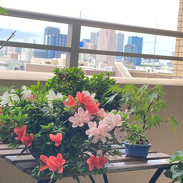 neue.kmnさんの実例写真
