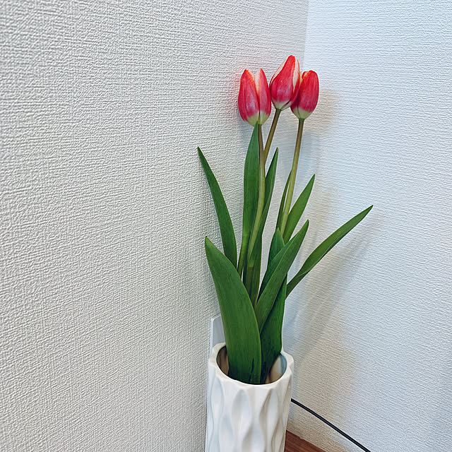 o-mamaさんの実例写真