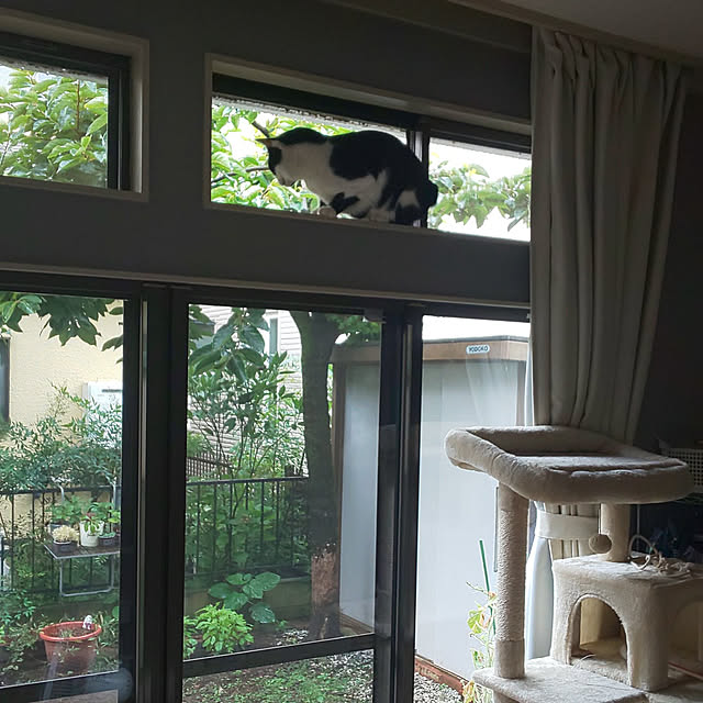 oseroさんの実例写真