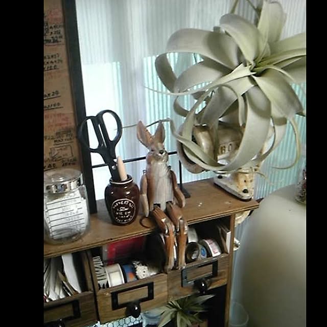 INDOORさんの実例写真