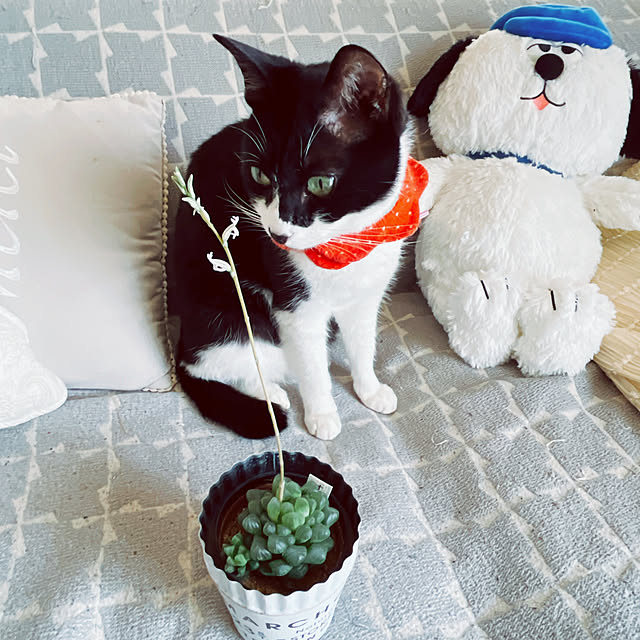 moolさんの部屋