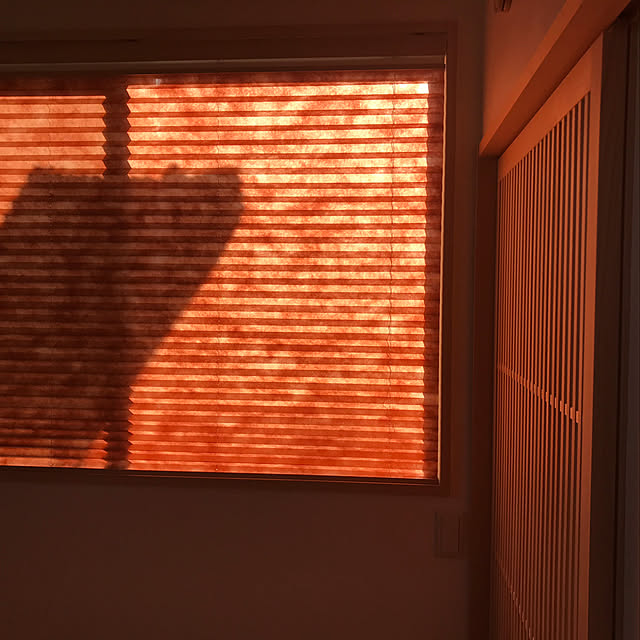 Haruさんの実例写真