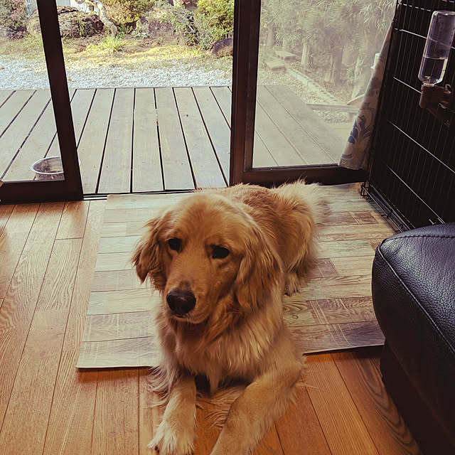 woodyさんの実例写真