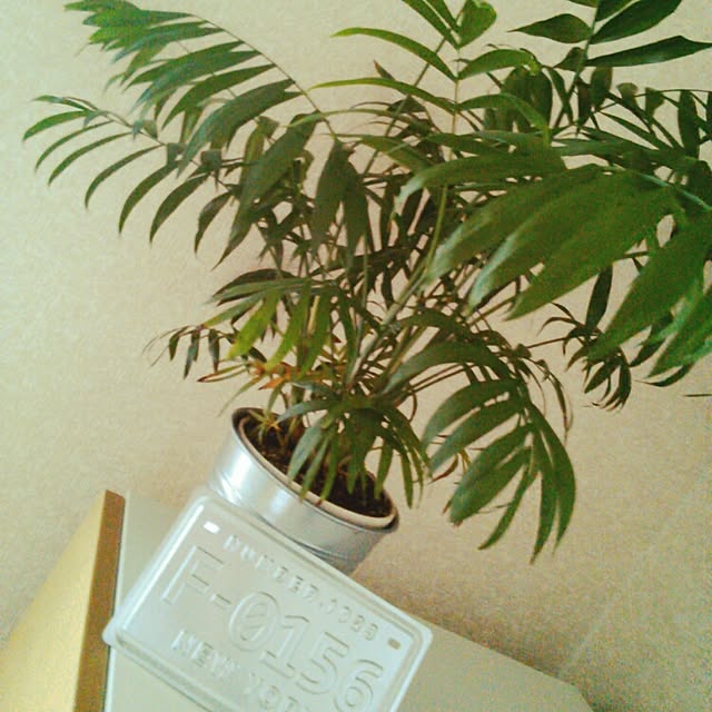 SVsoldiersさんの実例写真