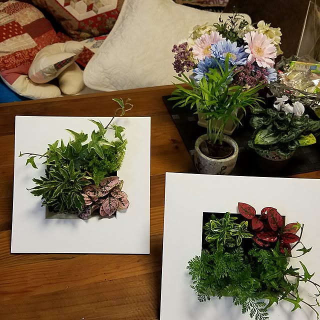 KORON.MEさんの実例写真