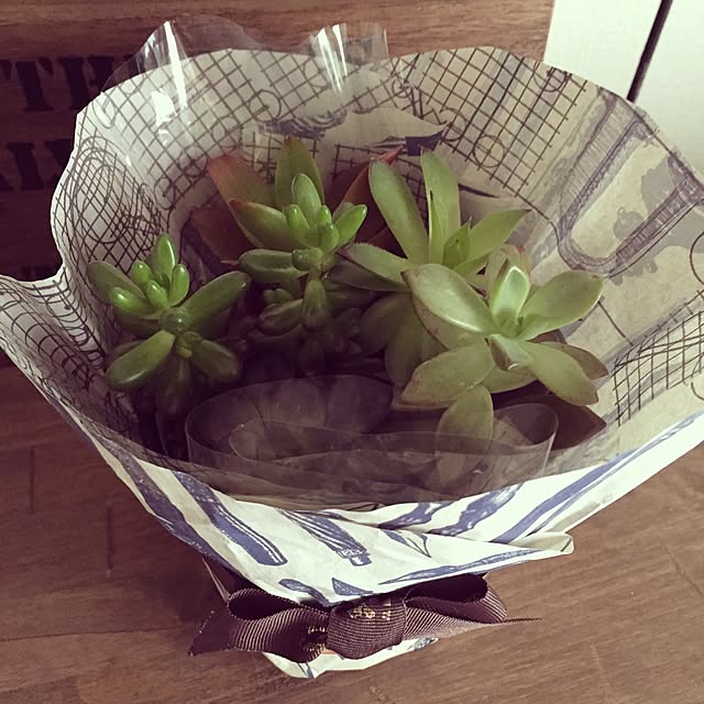玄関/入り口/多肉ちゃん寄せ植え/多肉寄せ植え/素敵なプレゼント♡/素敵な頂き物♡...などのインテリア実例 - 2015-03-02 12:37:15