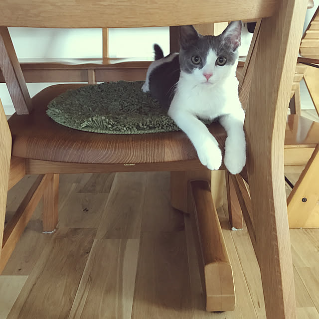 MiRiderさんの実例写真