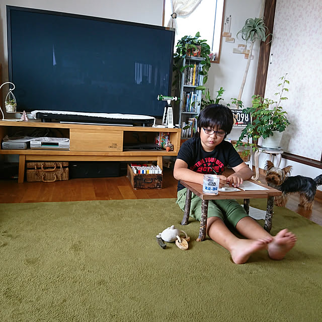 akiさんの実例写真