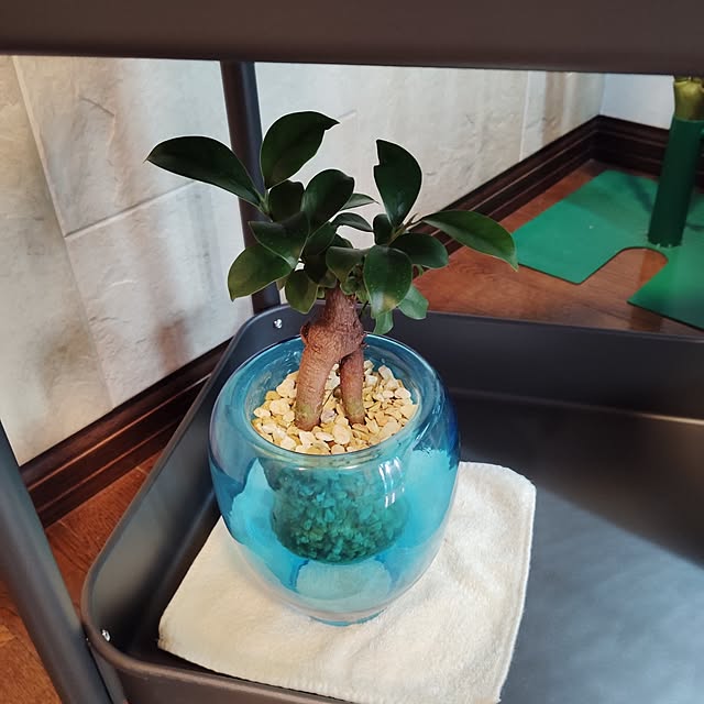momomamaさんの部屋