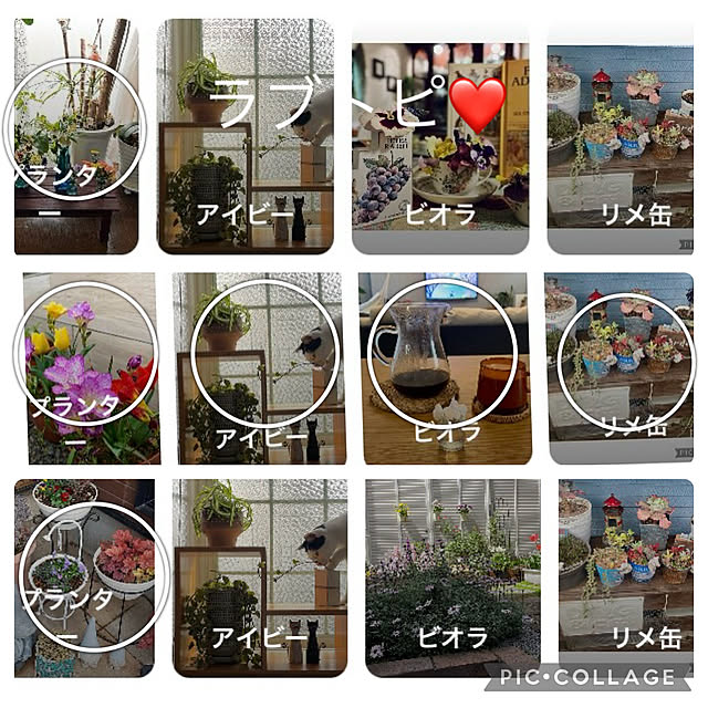 CoCo0617さんの実例写真