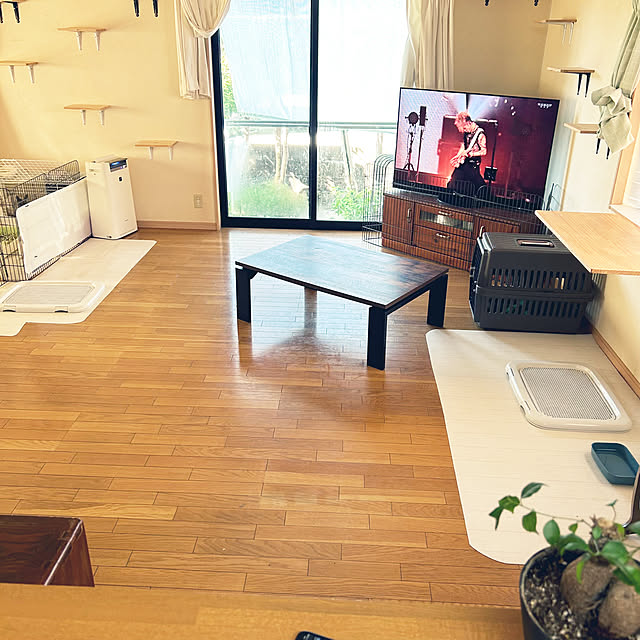 prelumoさんの実例写真