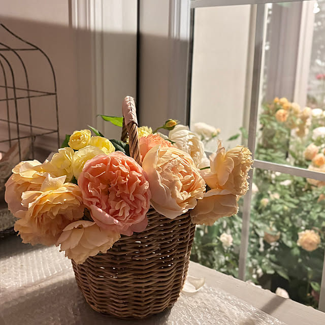 choさんの部屋