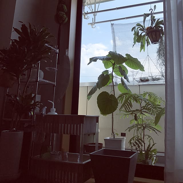 powakyonさんの実例写真