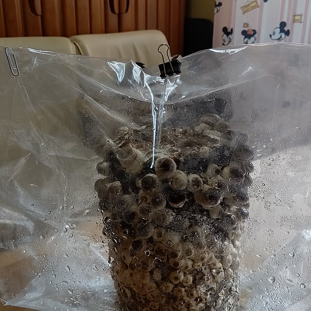 yumirinさんの部屋