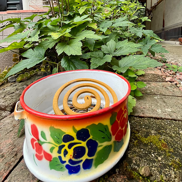 cotaさんの部屋