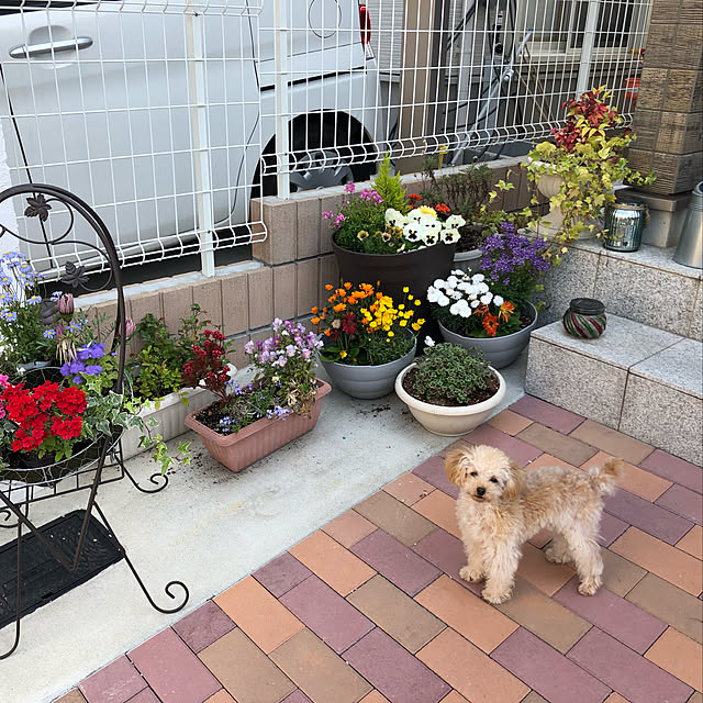 chimichimi7737さんの実例写真