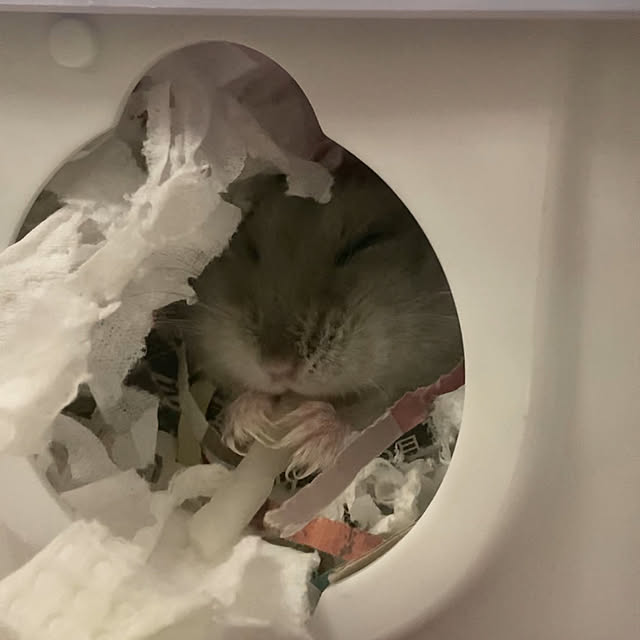 milkさんの実例写真