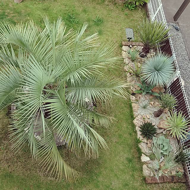 ot-gardenさんの部屋